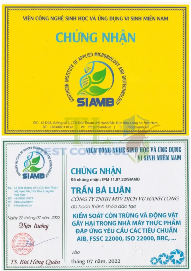 diệt mối ghe tàu