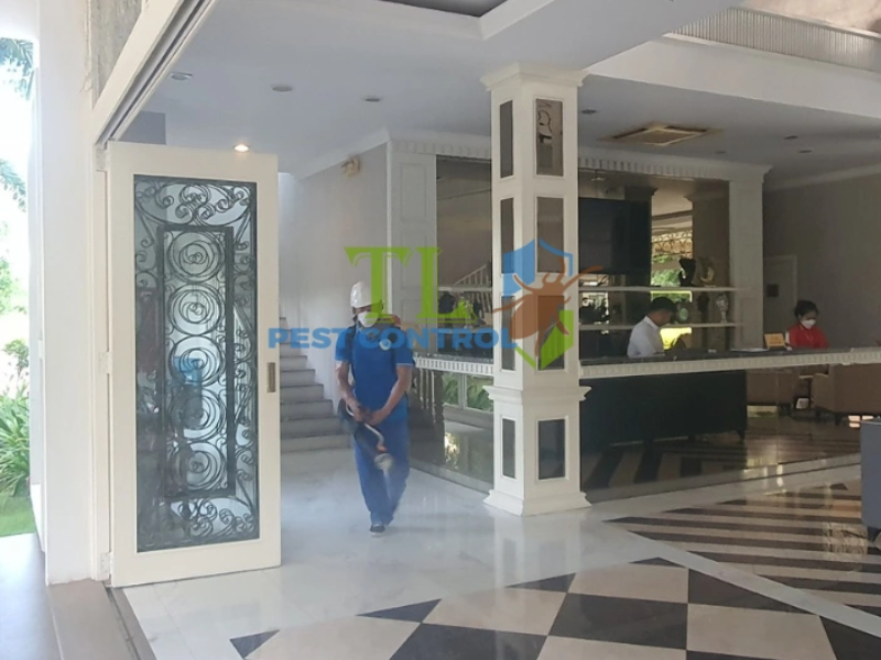 Phun phòng chống mối cho công trình