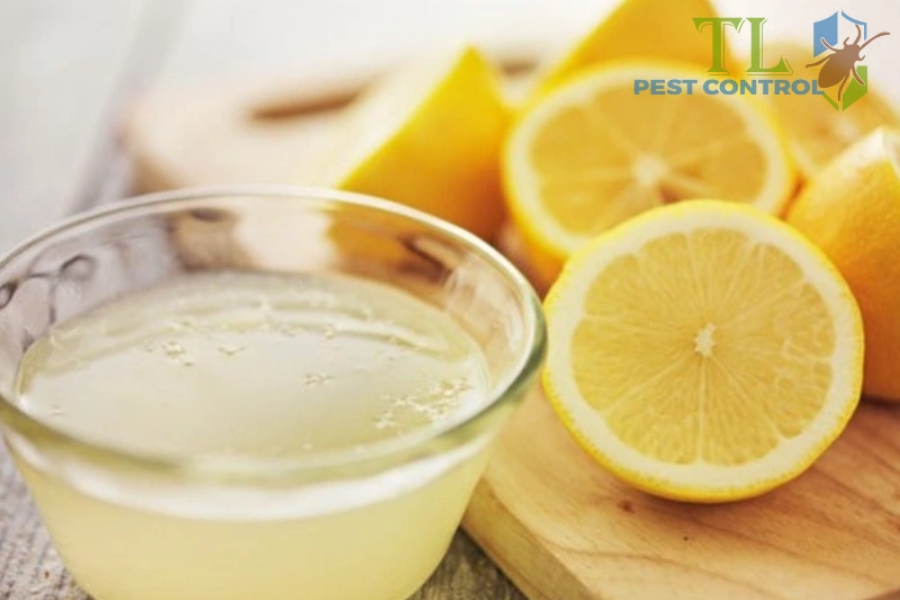 Các Cách Diệt Bồ Hóng Trong Nhà Bếp Hiệu Quả Tận Gốc
