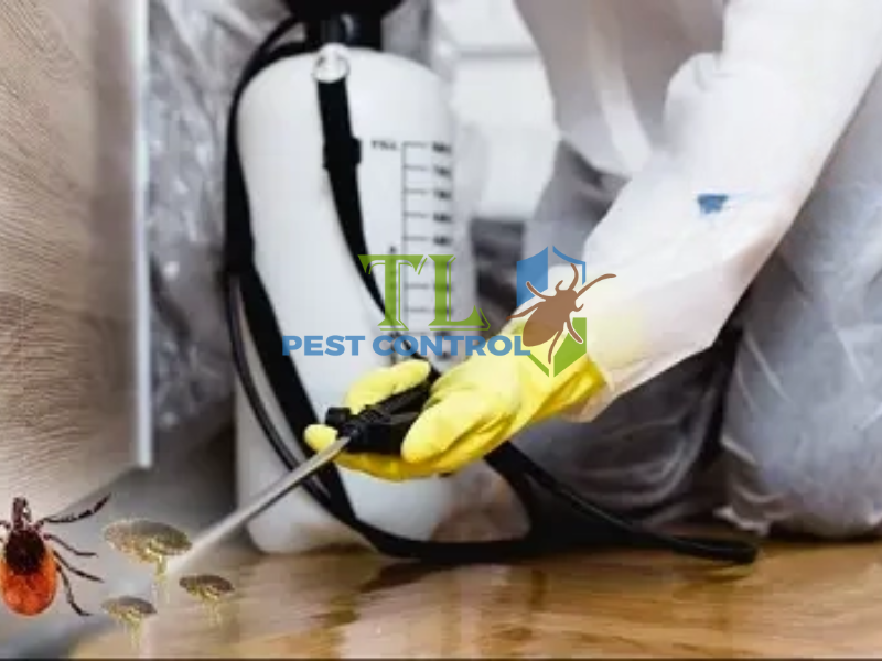 Thuốc xịt/phun diệt kiến chuyên dụng