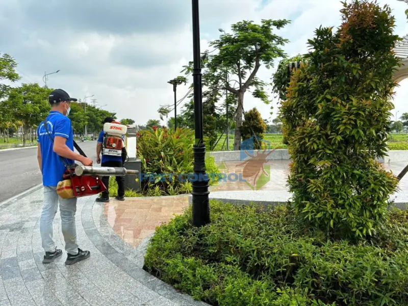 Cam kết chất lượng dịch vụ diệt mối Bình Dương Trần Long