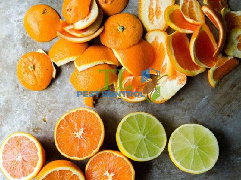 Sử dụng nước xà phòng diệt kiến