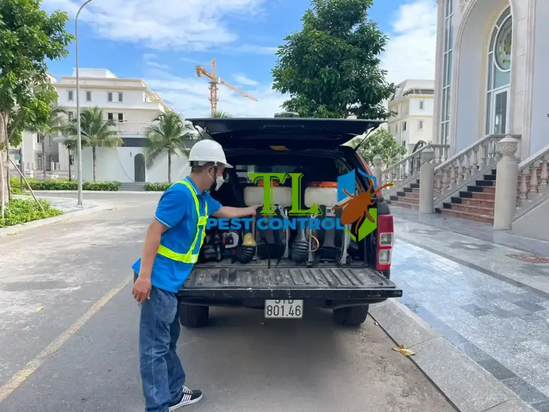 diệt mối tân bình