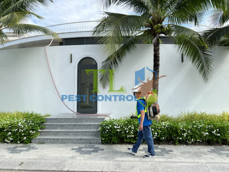 Lợi thế giúp Trần Long trở thành đối tác tin cậy