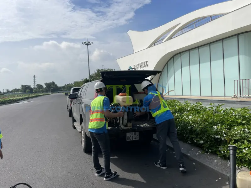Quy trình triển khai dịch vụ diệt muỗi Hóc Môn của Trần Long