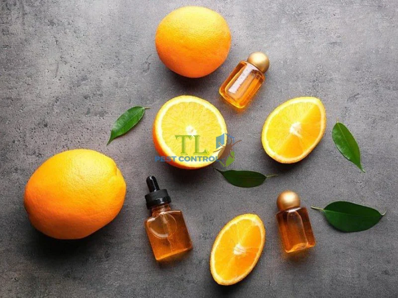 tinh dầu chống kiến ba khoang tinh dầu chống kiến ba khoang