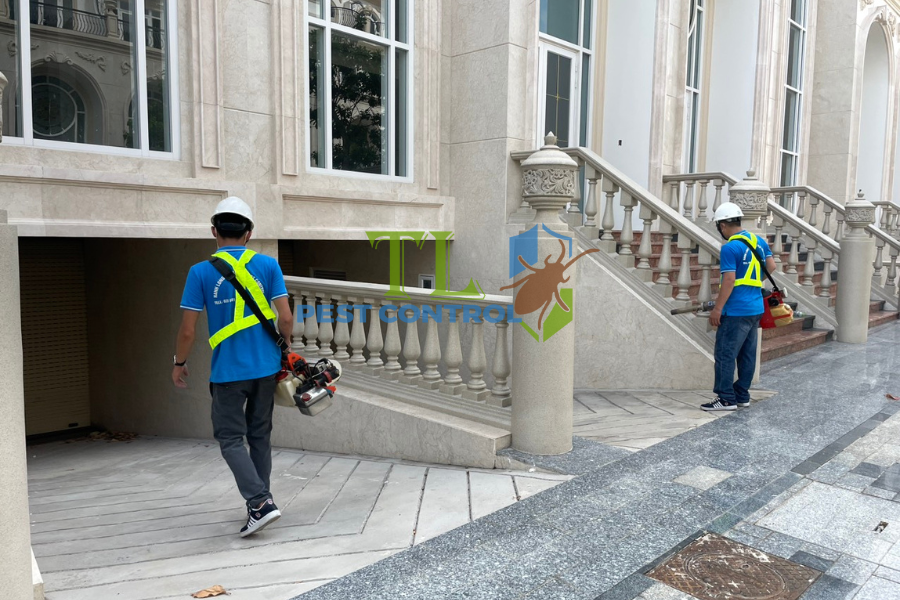 Diệt mối phường Thới An