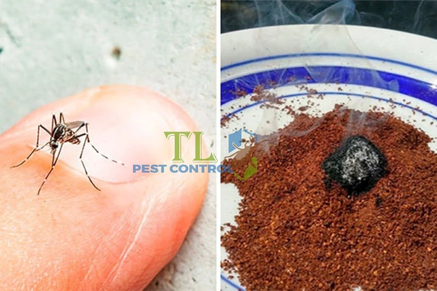 Cách Đuổi Muỗi Bằng Cà Phê Đơn Giản, Hiệu Quả Tại Nhà