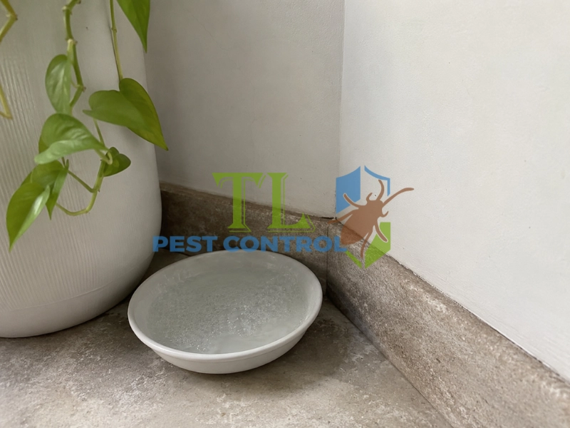 cách chống muỗi đốt cách chống muỗi đốt