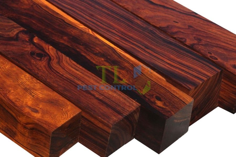 Các loại gỗ chống mối mọt? Gỗ có thực sự chống mối