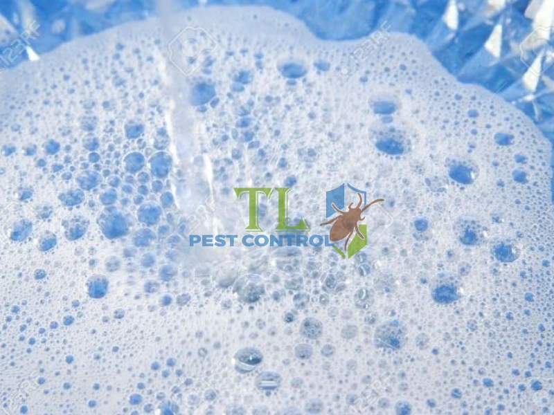 cách diệt ruồi trâu cách diệt ruồi trâu