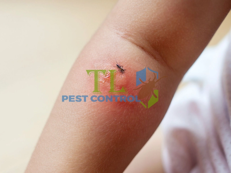 nhà có trẻ sơ sinh có nên phun thuốc muỗi