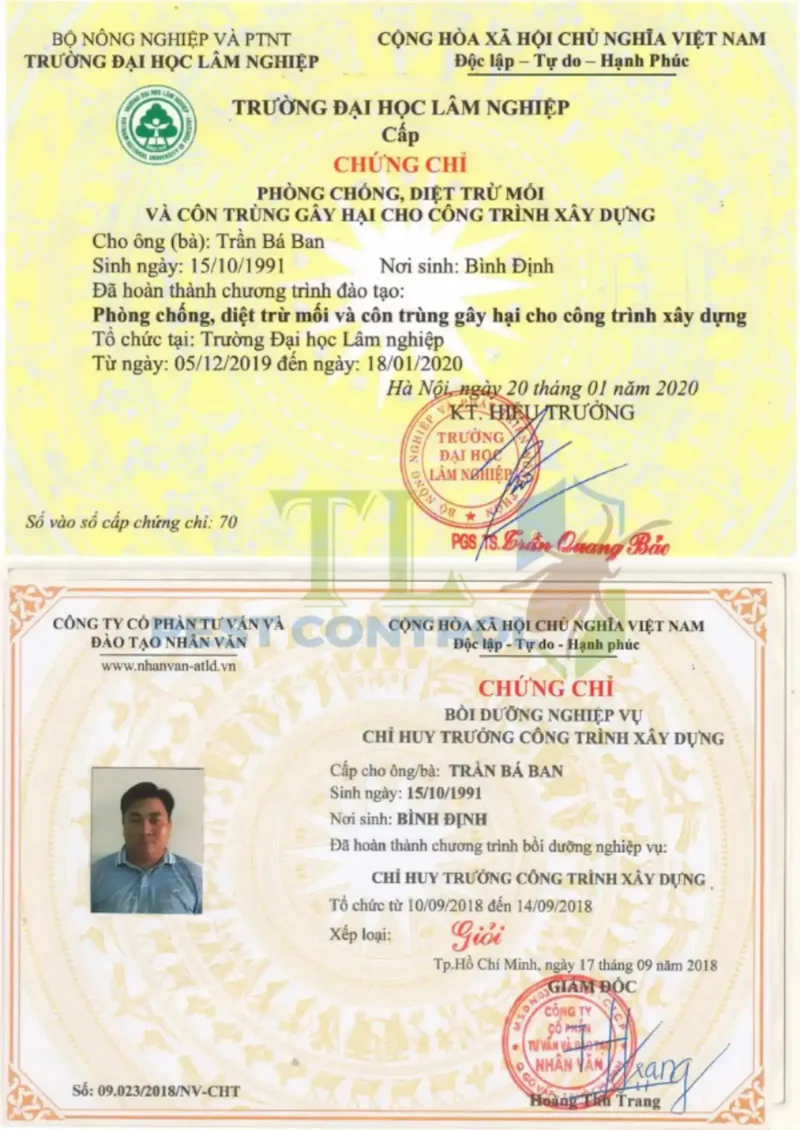 diệt mối giá rẻ