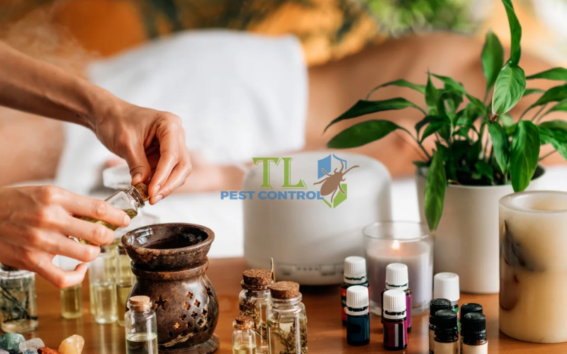 Các phương pháp diệt ong đất an toàn và hiệu quả