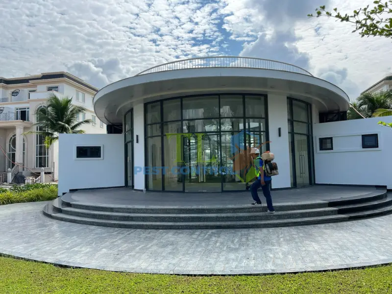 Dịch vụ diệt muỗi chuyên nghiệp Trần long