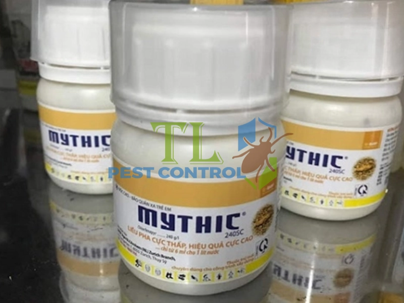 diệt mối cho công ty