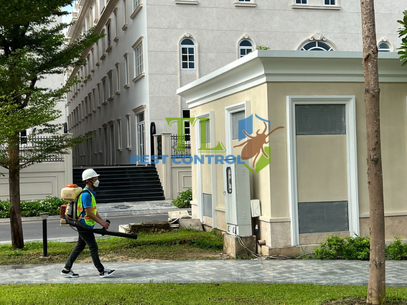 Biện pháp phun phòng chống mối cho công trình xây dựng 