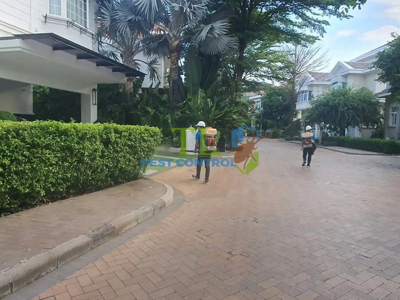 diệt mối quận 9 diệt mối quận 9