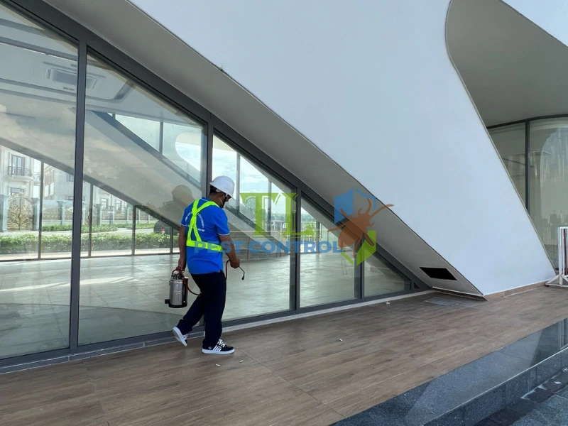 thuốc xịt kiến không độc hại thuốc xịt kiến không độc hại