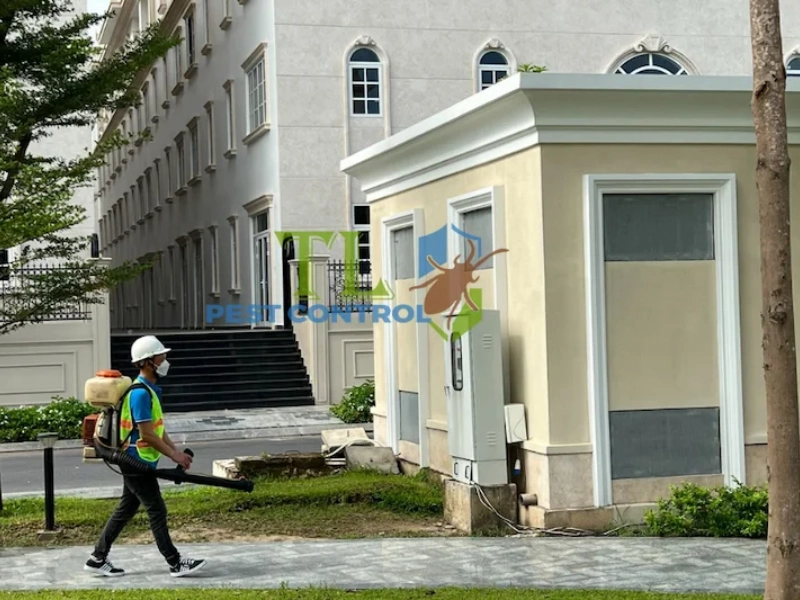 dịch vụ diệt rết