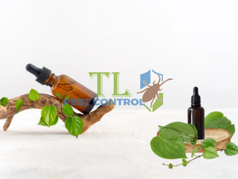 cách diệt mối trong tủ quần áo