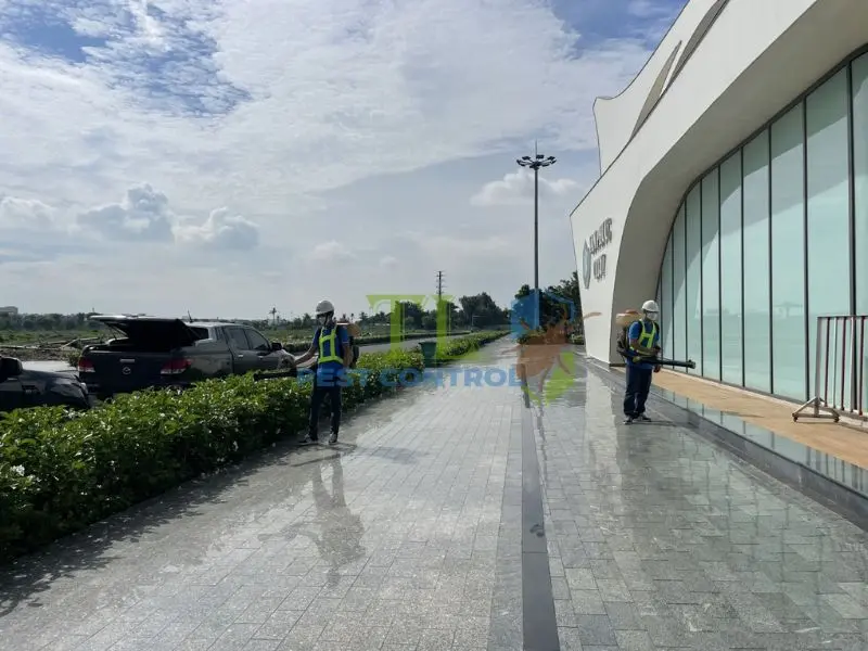 Phun xịt muỗi có hiệu quả hay không