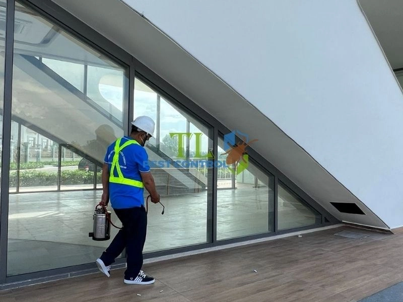 dịch vụ diệt mối nhà hàng 