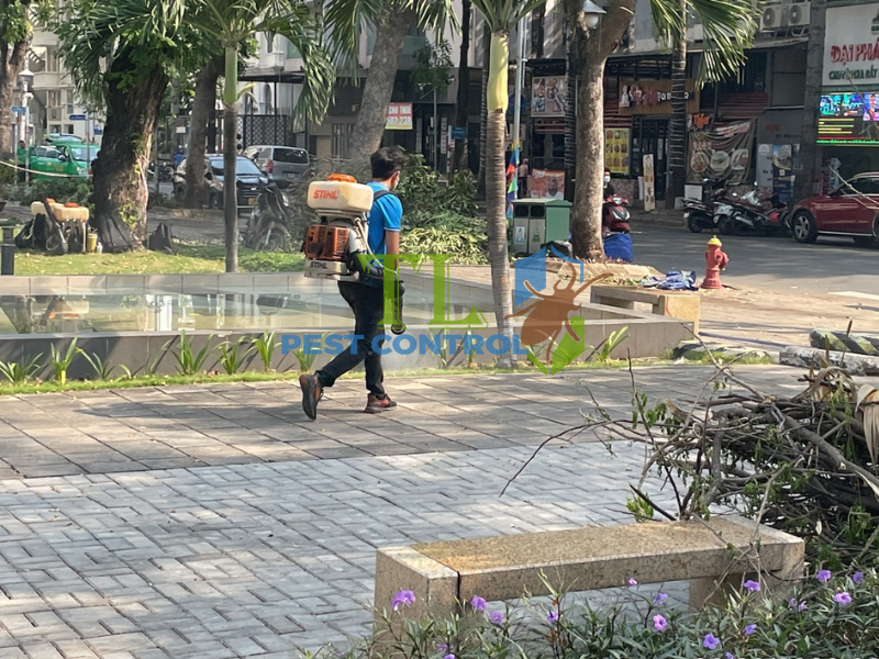 Phun phòng chống mối cho công trình xây mới và đang sử dụng