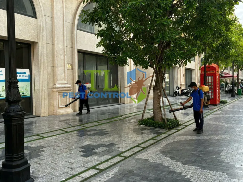 Dịch vụ phòng chống mối nền móng cho công trình tại Phường Chánh Hưng