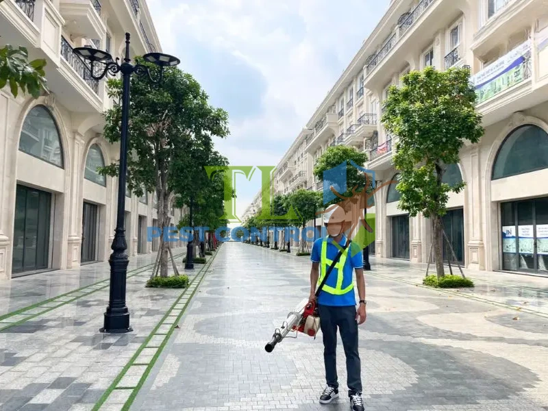 cách diệt sâu bọ trong đất