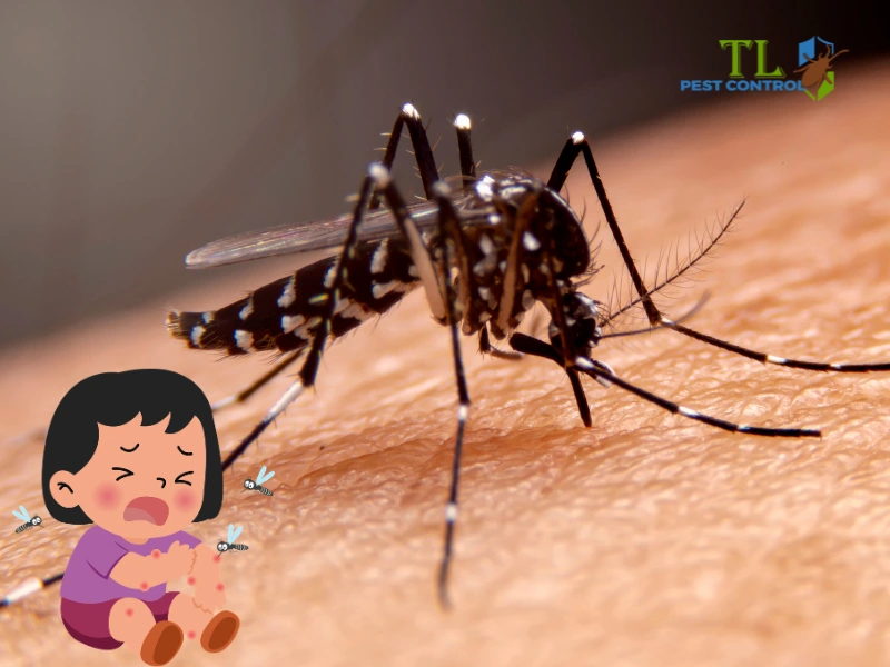 khi bị muỗi sốt xuất huyết đốt