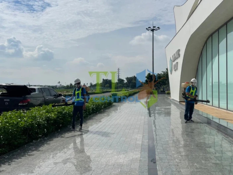 dịch vụ phun thuốc muỗi