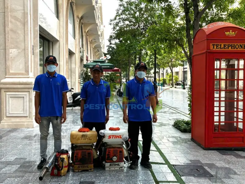 Trần Long là nơi diệt mối tận gốc Biên Hoà uy tín, chuyên nghiệp nhất hiện nay