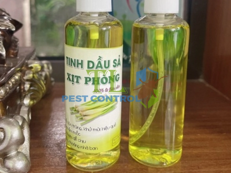 cách diệt mối trong tủ quần áo