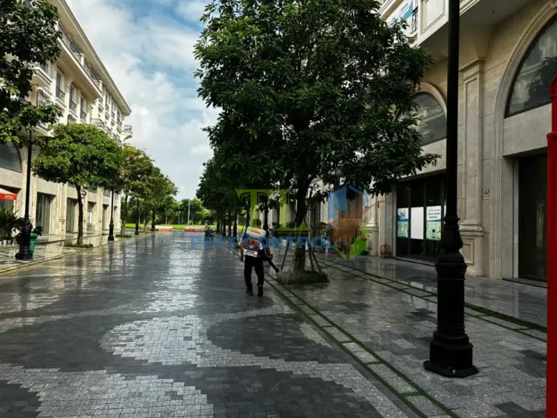 diệt mối quận 2