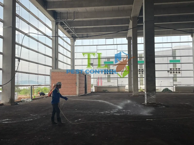 dịch vụ chống mối dịch vụ chống mối