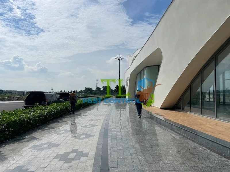 diệt mối tại quận gò vấp diệt mối tại quận gò vấp