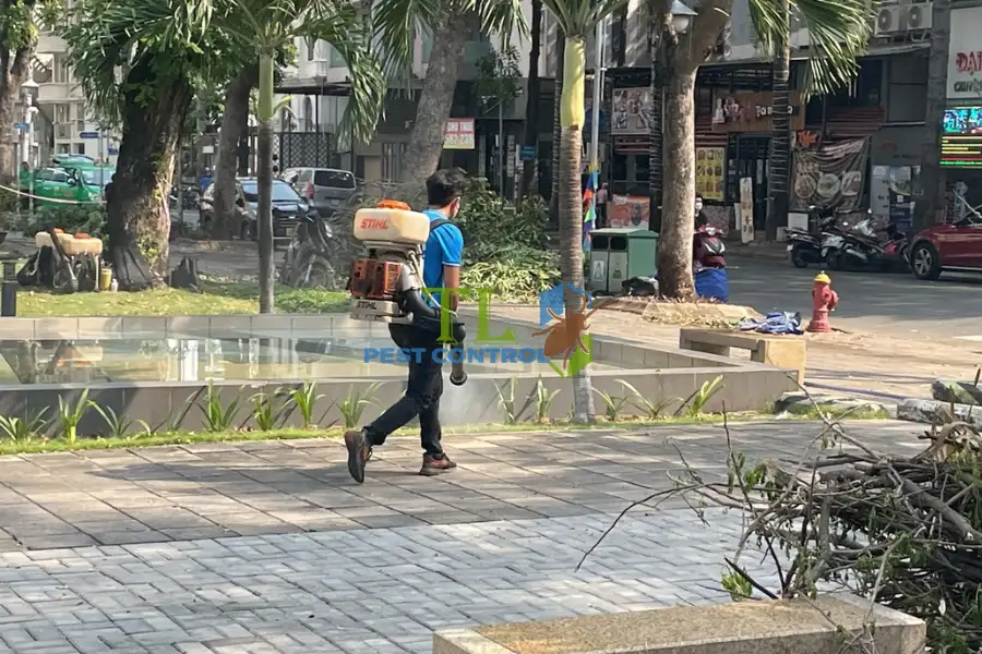 Kiểm Soát Muỗi Ở Giai Đoạn Ấu Trùng Hiệu Quả, An Toàn