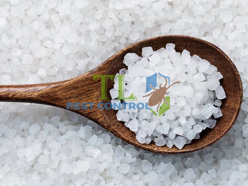 diệt mối tủ bếp