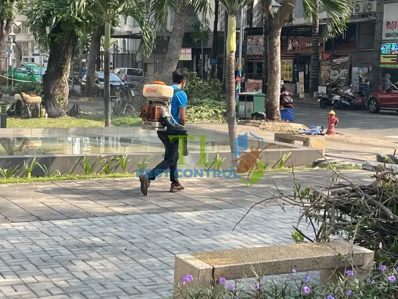 diệt kiến hiệu quả không độc hại diệt kiến hiệu quả không độc hại