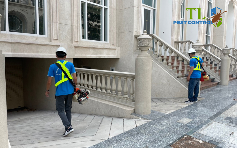 Dịch vụ diệt côn trùng chuyên nghiệp