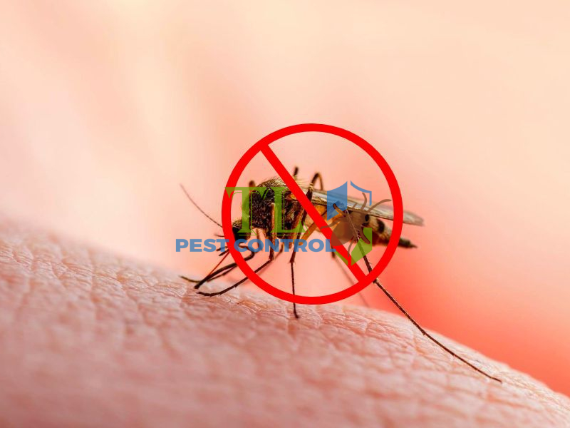 Các loại thuốc diệt muỗi phổ biến được đánh giá cao