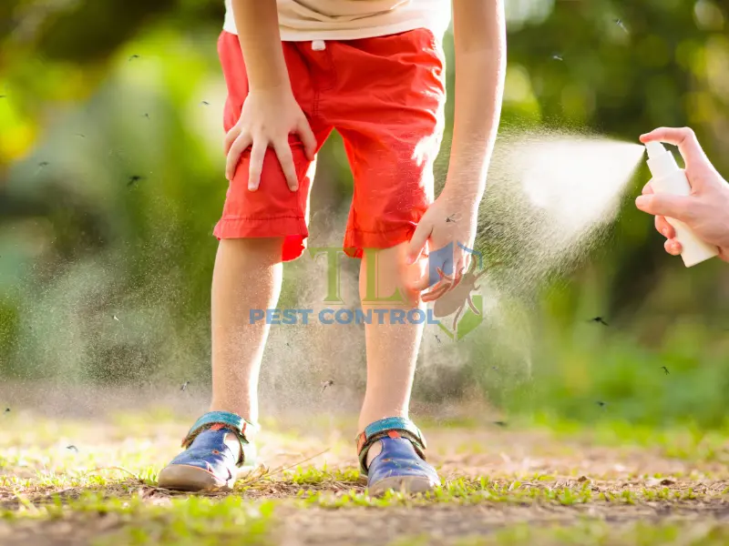 Hướng dẫn sử dụng thuốc xịt muỗi tại nhà an toàn và hiệu quả