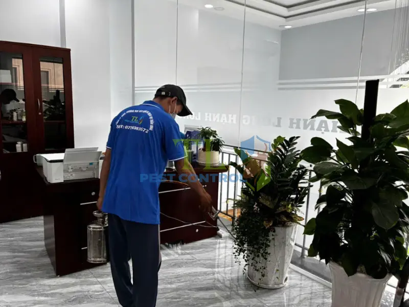 Trần Long là địa chỉ diệt mối tận gốc uy tín nhất hiện nay