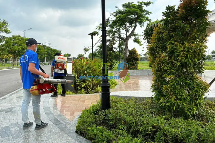 Diệt mối tại Bình Dương