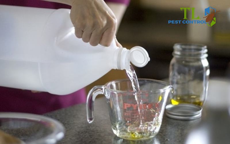 Hỗn hợp giấm trắng và nước