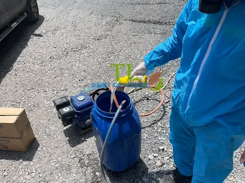 diệt mối gò vấp diệt mối gò vấp