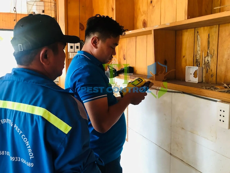 dịch vụ diệt mọt gỗ