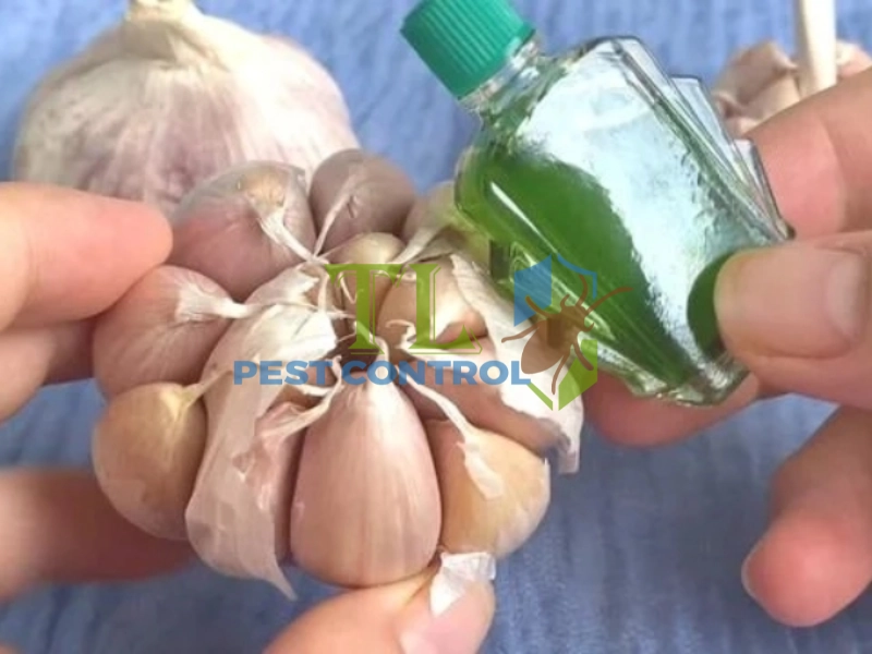 cách đuổi muỗi bằng tỏi
