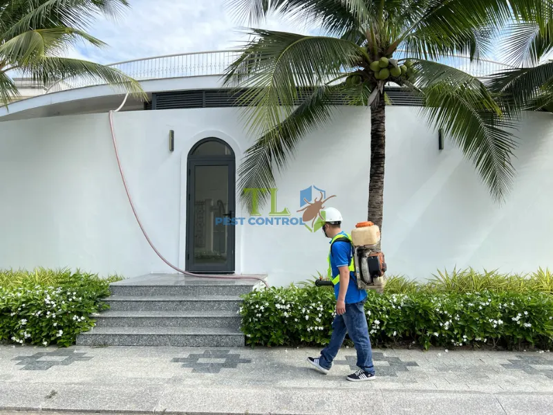 dịch vụ phun muỗi tại nhà dịch vụ phun muỗi tại nhà